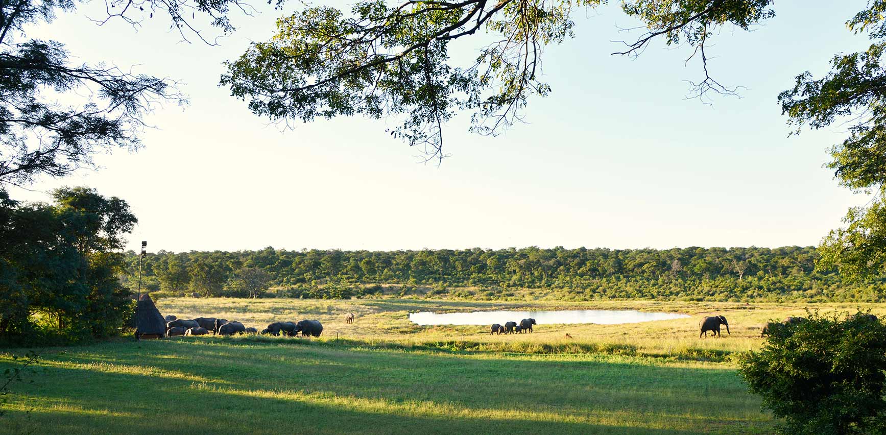 6 Nights · 7 Days Matopos NP, Hwange NP and Victoria Falls Highlights Safari, photo 2